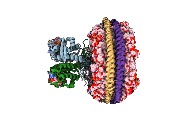 7RSC image