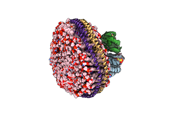 7RSE image