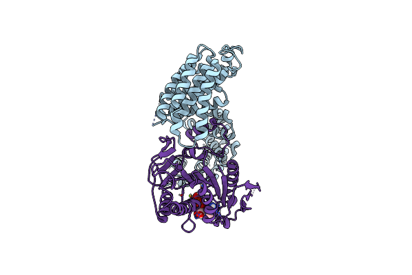 7RSI image