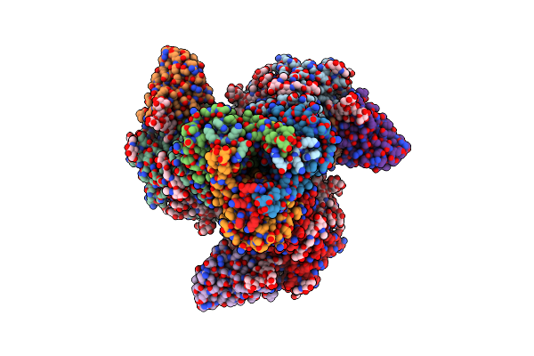 7RSN image