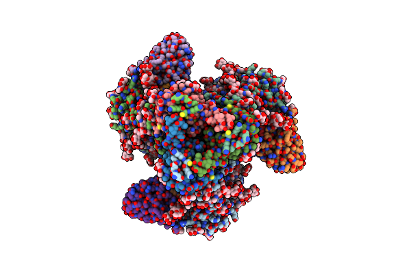 7RSO image