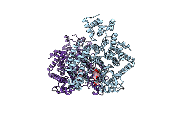 7RSP image