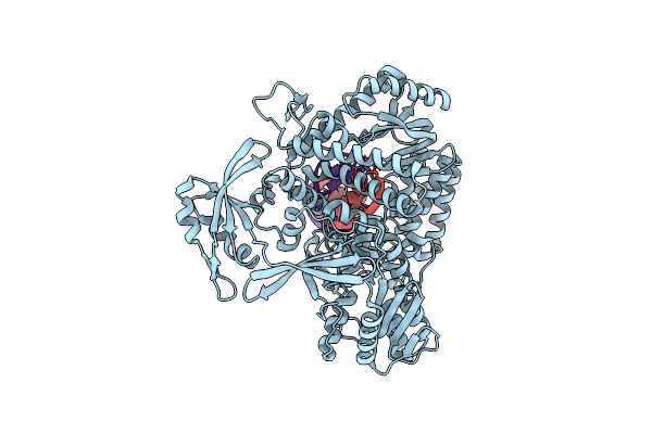 7RSU image