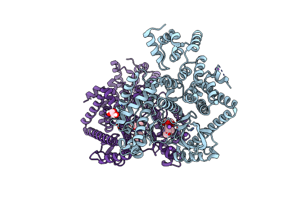 7RSV image
