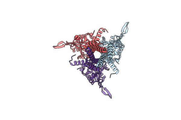 7RTN image