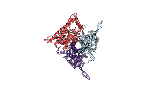 7RTO image