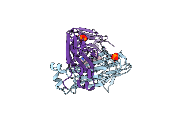 7RTP image