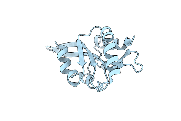 7RTX image
