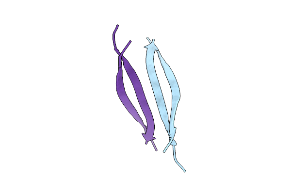 7RTZ image