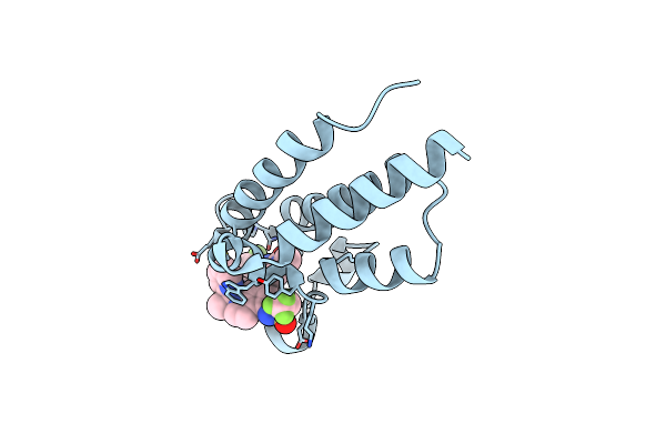 7RUH image