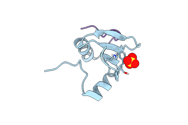7RUP image