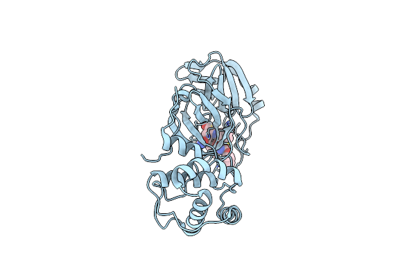 7RVM image
