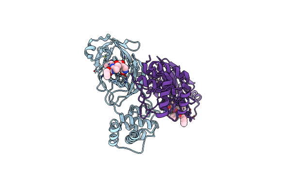 7RVO image