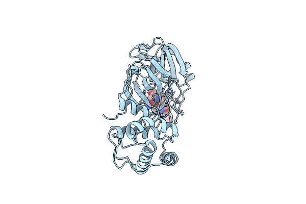 7RVS image