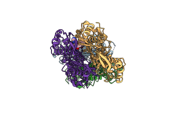 7RW5 image