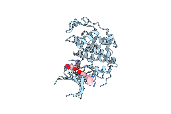 7RWE image