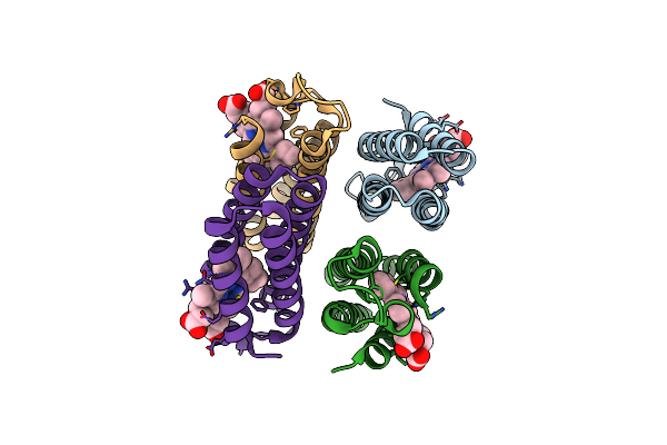 7RWV image