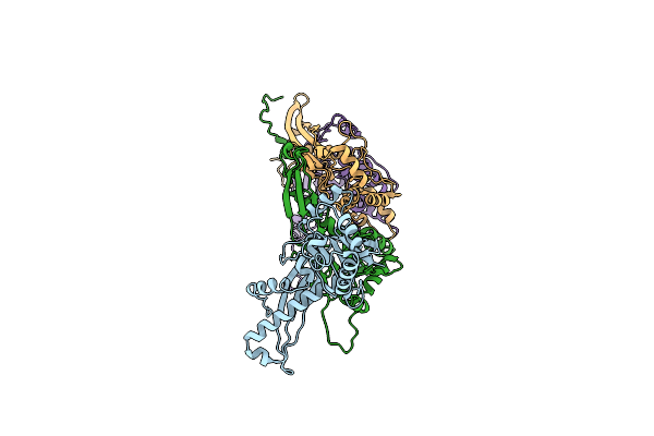 7RWZ image