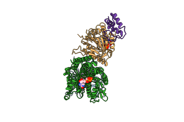 7RX0 image