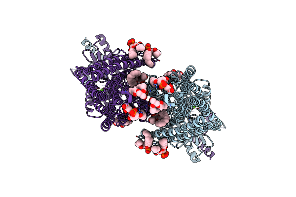 7RX2 image
