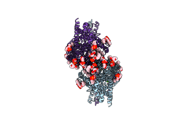 7RXG image