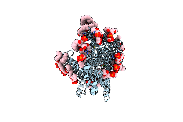 7RXH image