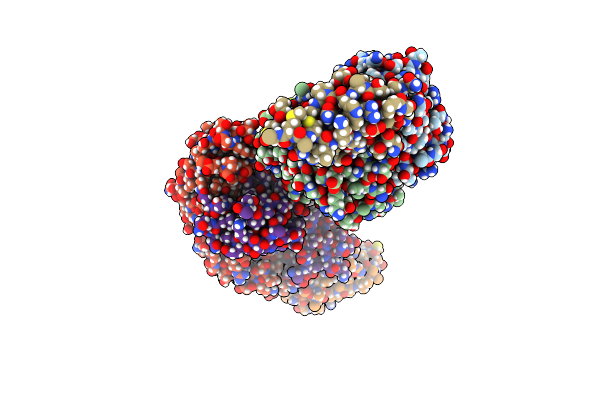 7RXJ image