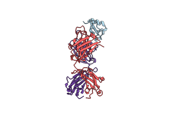 7RXP image