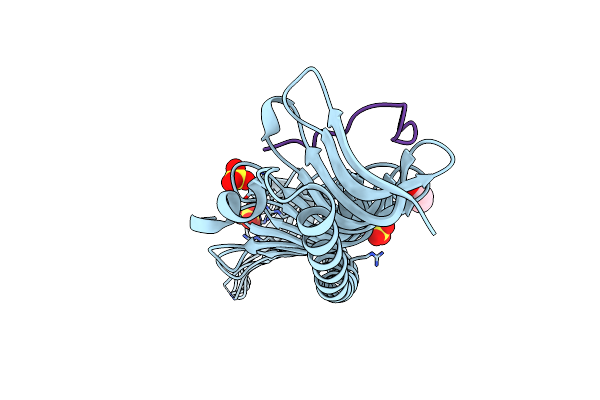 7RXQ image
