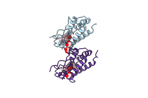 7RXR image