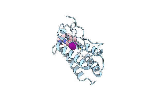 7RXT image
