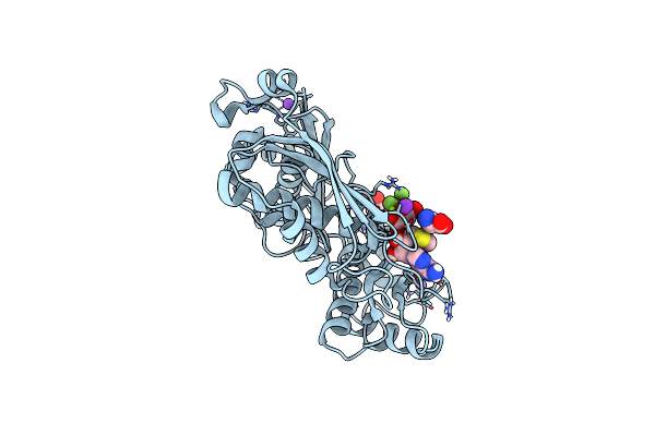 7RXV image