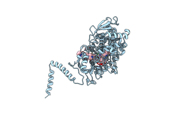 7RYA image