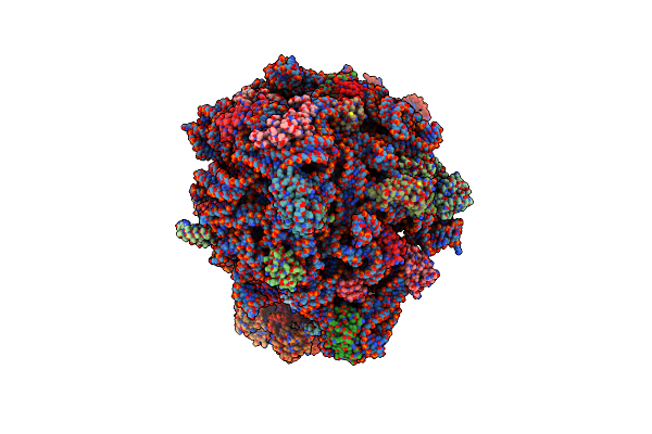 7RYG image
