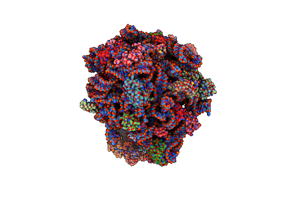 7RYH image