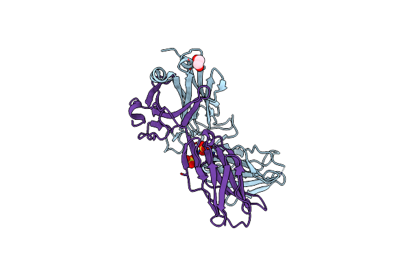 7RYL image