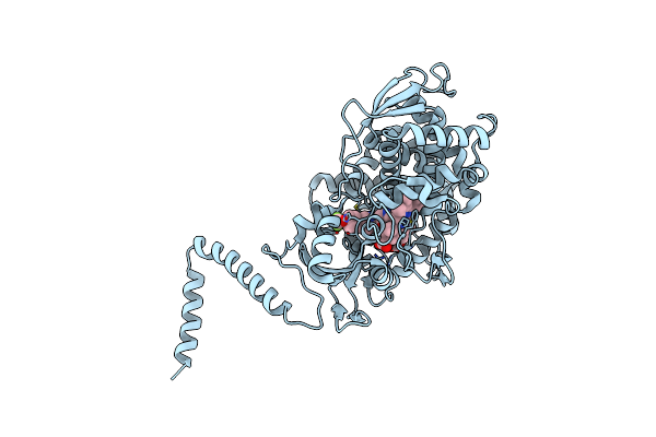 7RYX image