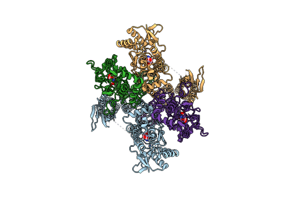7RYZ image