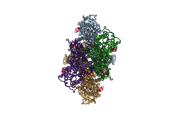 7RZ4 image