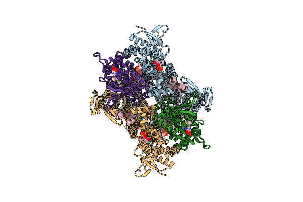 7RZ5 image