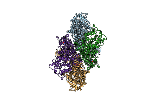 7RZ6 image