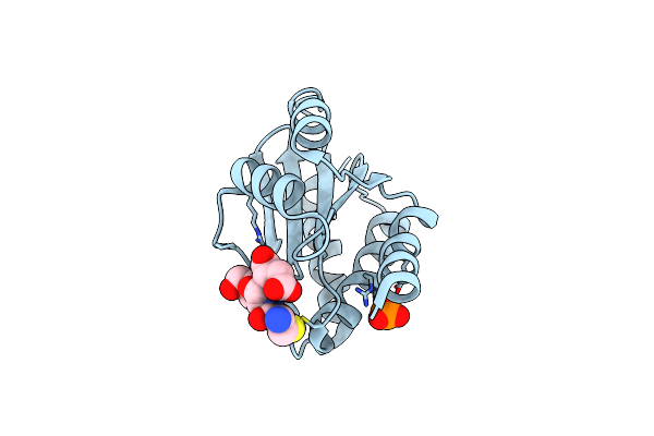 7RZB image