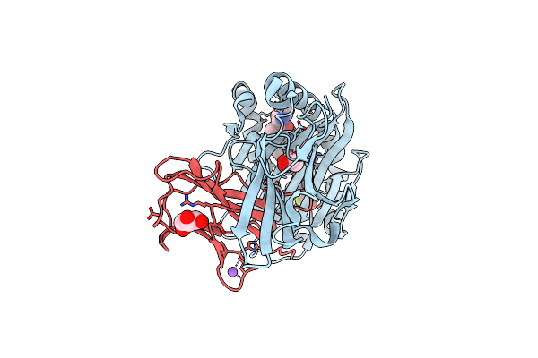 7RZD image