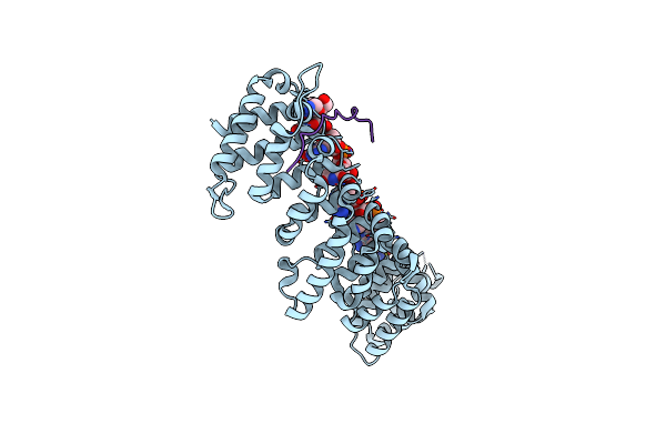 7RZZ image