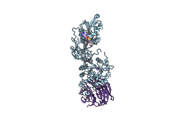 7S0U image