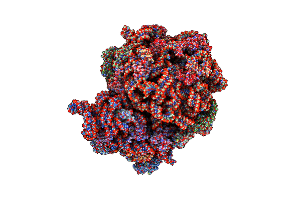 7S1G image