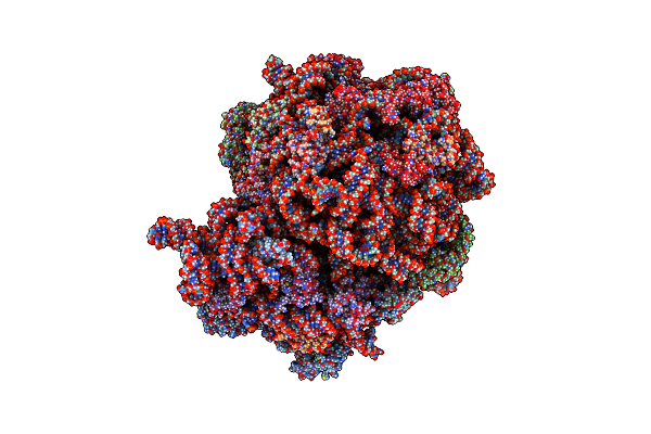 7S1H image