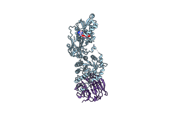7S1P image