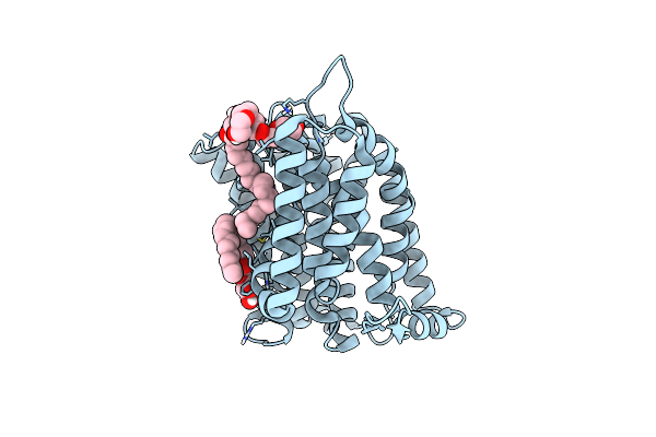 7S24 image