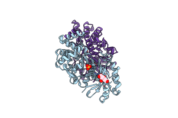 7S2H image